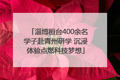 淄博桓台400余名学子赴青州研学 沉浸体验点燃科技梦想