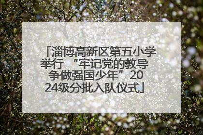 淄博高新区第五小学举行 “牢记党的教导 争做强国少年”2024级分批入队仪式