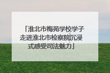 淮北市梅苑学校学子走进淮北市检察院沉浸式感受司法魅力