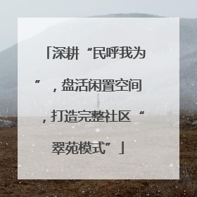 深耕“民呼我为”，盘活闲置空间，打造完整社区“翠苑模式”
