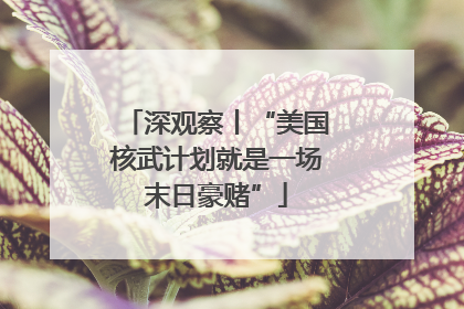 深观察丨“美国核武计划就是一场末日豪赌”
