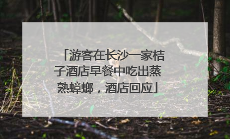 游客在长沙一家桔子酒店早餐中吃出蒸熟蟑螂，酒店回应