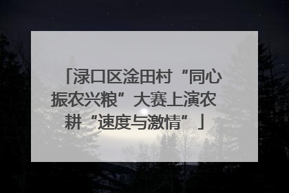 渌口区淦田村“同心振农兴粮”大赛上演农耕“速度与激情”