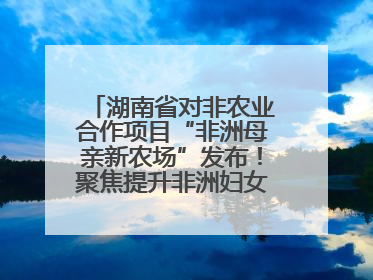 湖南省对非农业合作项目“非洲母亲新农场”发布！聚焦提升非洲妇女能力与家庭福祉