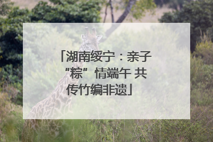 湖南绥宁：亲子“粽”情端午 共传竹编非遗