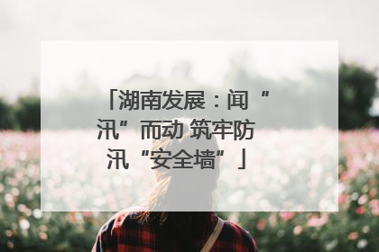 湖南发展：闻“汛”而动 筑牢防汛“安全墙”