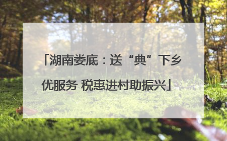 湖南娄底：送“典”下乡优服务 税惠进村助振兴