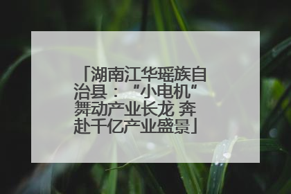 湖南江华瑶族自治县：“小电机”舞动产业长龙 奔赴千亿产业盛景