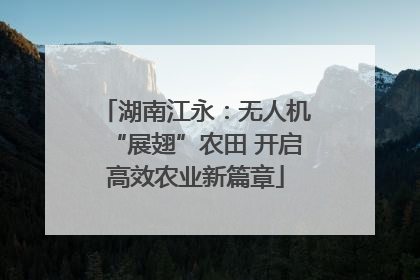 湖南江永：无人机“展翅”农田 开启高效农业新篇章