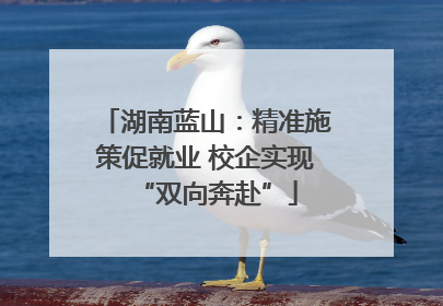 湖南蓝山：精准施策促就业 校企实现“双向奔赴”