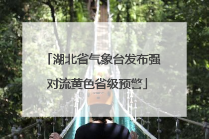 湖北省气象台发布强对流黄色省级预警
