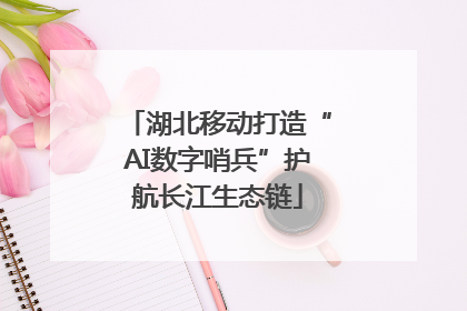 湖北移动打造“AI数字哨兵”护航长江生态链