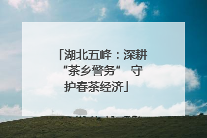 湖北五峰：深耕“茶乡警务” 守护春茶经济