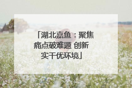 湖北嘉鱼：聚焦痛点破难题 创新实干优环境