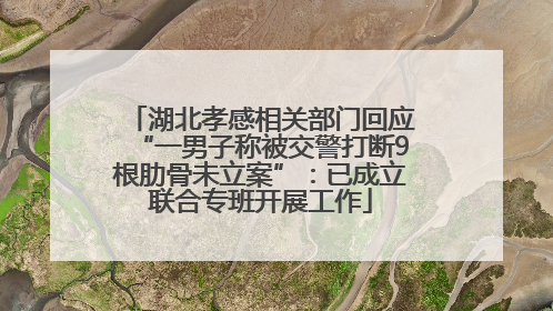湖北孝感相关部门回应“一男子称被交警打断9根肋骨未立案”：已成立联合专班开展工作