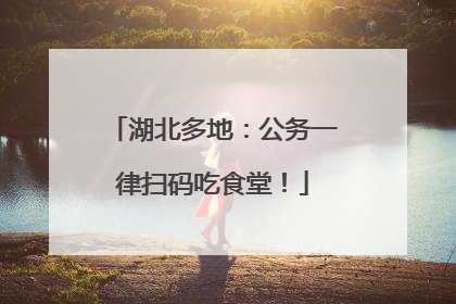 湖北多地：公务一律扫码吃食堂！
