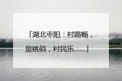 湖北枣阳：村路畅，皇桃俏，村民乐……