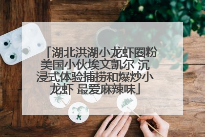 湖北洪湖小龙虾圈粉美国小伙埃文凯尔 沉浸式体验捕捞和爆炒小龙虾 最爱麻辣味