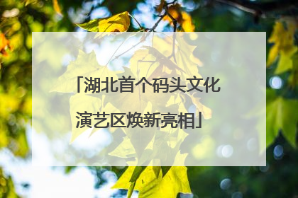 湖北首个码头文化演艺区焕新亮相
