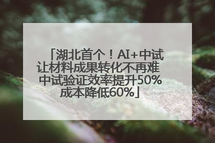 湖北首个！AI+中试让材料成果转化不再难 中试验证效率提升50%成本降低60%