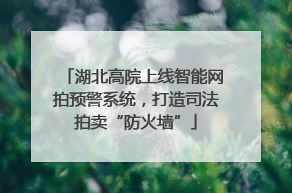 湖北高院上线智能网拍预警系统，打造司法拍卖“防火墙”