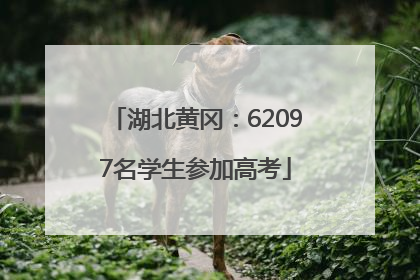 湖北黄冈：62097名学生参加高考