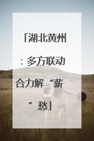湖北黄州：多方联动合力解“薪”愁