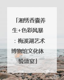 湘绣香囊养生+色彩风暴：梅溪湖艺术博物馆文化体验盛宴