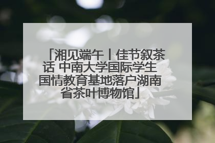 湘见端午丨佳节叙茶话 中南大学国际学生国情教育基地落户湖南省茶叶博物馆