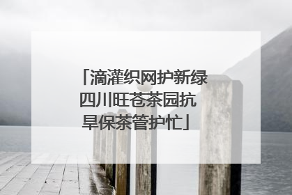 滴灌织网护新绿 四川旺苍茶园抗旱保茶管护忙
