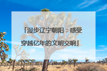 漫步辽宁朝阳：感受穿越亿年的文明交响