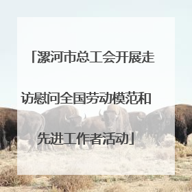 漯河市总工会开展走访慰问全国劳动模范和先进工作者活动