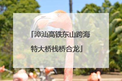 漳汕高铁东山跨海特大桥栈桥合龙