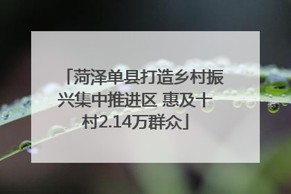 菏泽单县打造乡村振兴集中推进区 惠及十村2.14万群众
