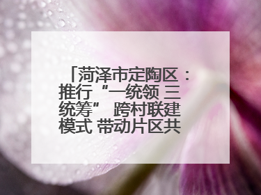 菏泽市定陶区：推行“一统领 三统筹” 跨村联建模式 带动片区共同富裕