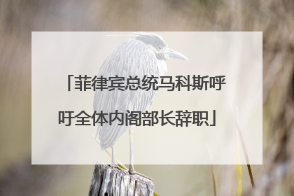 菲律宾总统马科斯呼吁全体内阁部长辞职