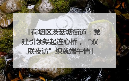 荷塘区茨菇塘街道：党建引领架起连心桥，“双联夜访”织就端午情