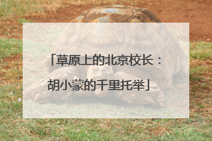 草原上的北京校长：胡小蒙的千里托举