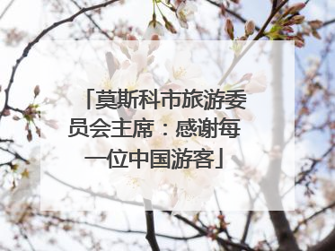 莫斯科市旅游委员会主席：感谢每一位中国游客