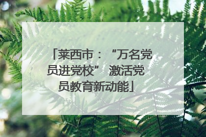 莱西市：“万名党员进党校” 激活党员教育新动能