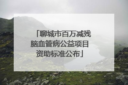 聊城市百万减残脑血管病公益项目资助标准公布