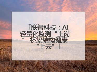 联智科技：AI轻量化监测“上岗” 桥梁结构健康“上云”