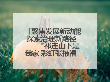 聚焦发展新动能 探索治理新路径——“祁连山下是我家 彩虹张掖福感地带”主题采访活动走进山丹