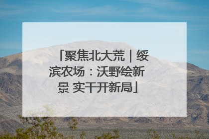聚焦北大荒｜绥滨农场：沃野绘新景 实干开新局