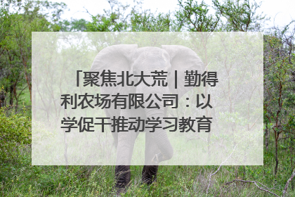 聚焦北大荒｜勤得利农场有限公司：以学促干推动学习教育“升温提速”