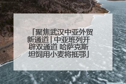 聚焦武汉中亚外贸新通道│中亚班列开辟双通道 哈萨克斯坦饲用小麦将抵鄂