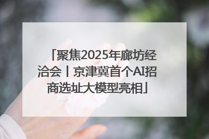 聚焦2025年廊坊经洽会丨京津冀首个AI招商选址大模型亮相