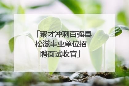聚才冲刺百强县 松滋事业单位招聘面试收官