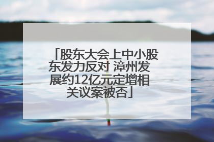 股东大会上中小股东发力反对 漳州发展约12亿元定增相关议案被否