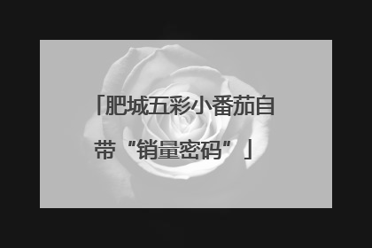 肥城五彩小番茄自带“销量密码”